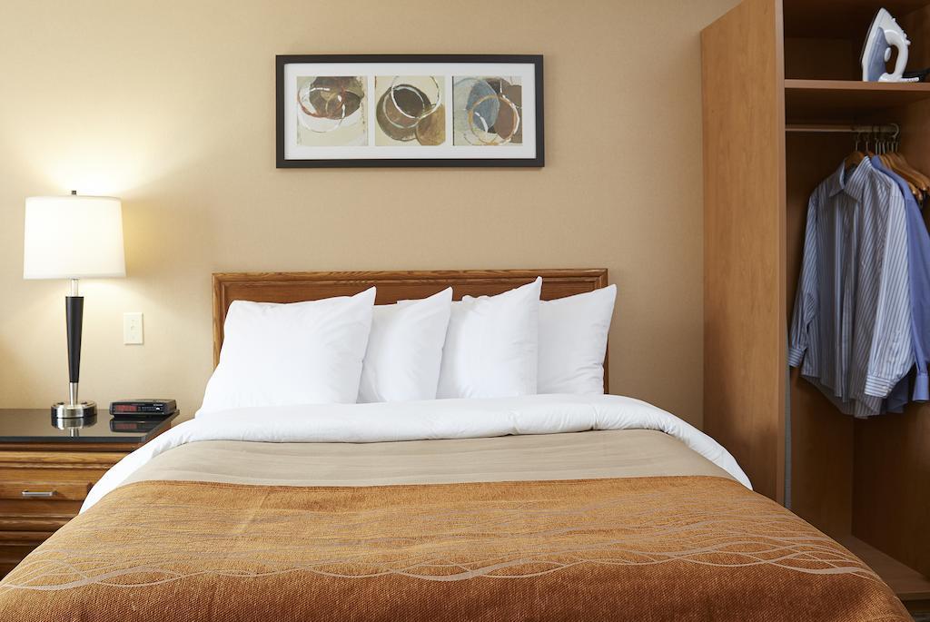 Comfort Inn Hamilton Exteriör bild